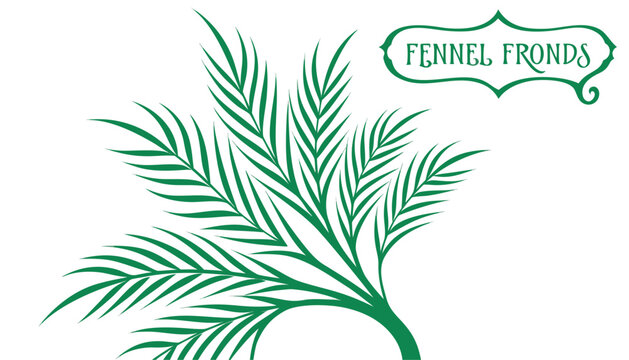 Very beautiful vibrant fennel fronds featuring delicate feathery foliage, fresh green textures, realistic botanical structure, and an elegant decorative label reading "FENNEL FRONDS", isolated on whit