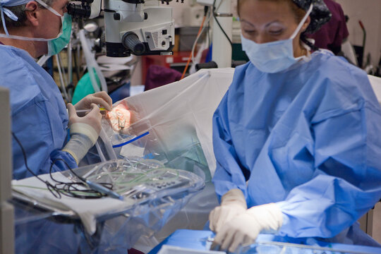 Surgical technologist injecting irrigating into the eye during cataract surgery