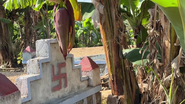 A Buddhist grave with a red swastika symbol stands among banana plants within a plantation area surrounded by dense vegetation typical for a traditional burial site. Religious heritage.