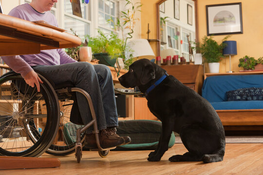 Woman with multiple sclerosis in a wheelchair with service dog beside her