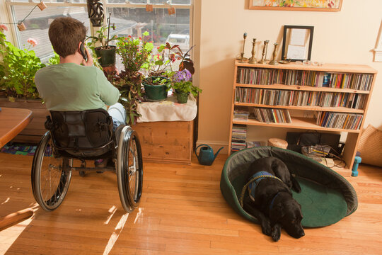 Woman with multiple sclerosis in a wheelchair talking on a mobile phone with service dog sitting