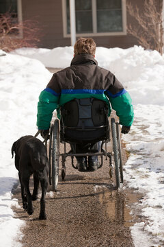 Woman with multiple sclerosis in a wheelchair with a service dog in winter