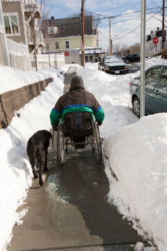 Woman with multiple sclerosis in a wheelchair with a service dog going up snowy street