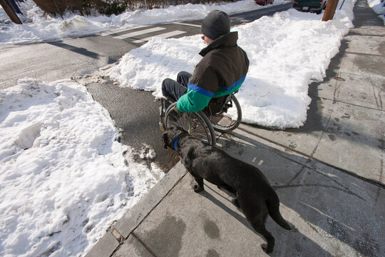 Woman with multiple sclerosis in a wheelchair with a service dog trying to get over a curb in winter