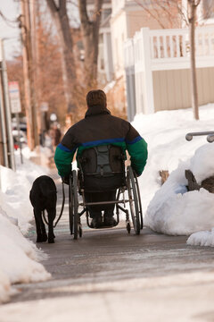 Woman with multiple sclerosis in a wheelchair with a service dog in winter snow