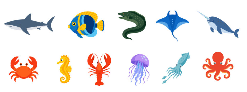 Various sea animals can be seen including a shark, a blue tang fish, a moray eel, a stingray, a narwhal, a crab, a seahorse, a lobster, a jellyfish, and an octopus