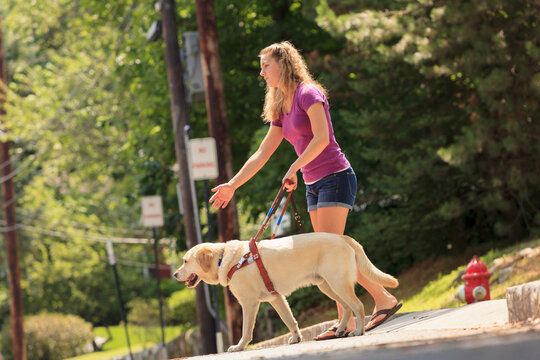 Student with visual impairment directing her service dog to turn