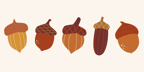 Autumn acorn border collection on light cream background. Botanical set of five forest oak seeds arranged in a horizontal row with brown and orange textures © Iryna Duda