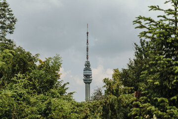 Obraz premium Avala Tower emerging above dense green forest near Belgrade. Landmark telecommunications structure surrounded by natural scenery in Serbia