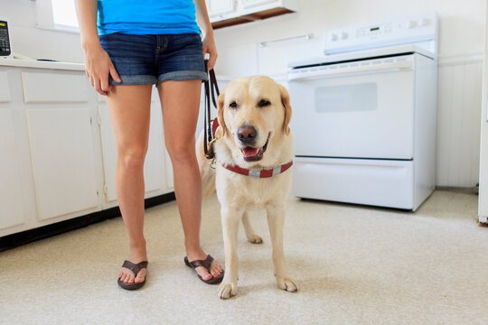 Woman with visual impairment in kitchen with her service dog
