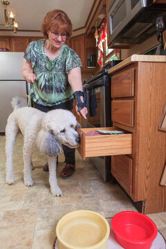 Poodle service dog closing a kitchen drawer