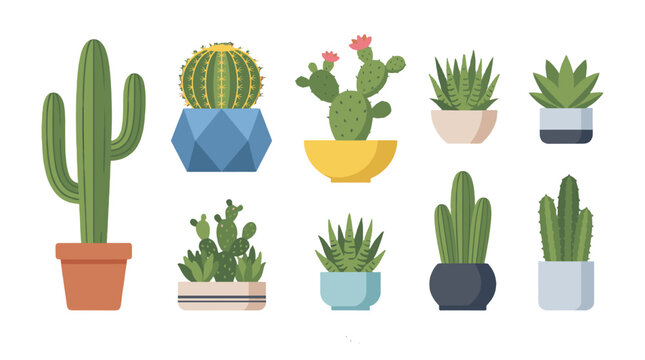 Set of potted cactus and succulent plants in flat vector style