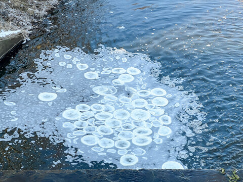 Pancake ice, ice disks formed on the water surface at the outlet of the Małapanew River reservoir in Kalety Zielona, ​​Poland