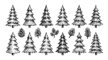 Obraz premium Hand drawn evergreen trees and pine branches sketch set