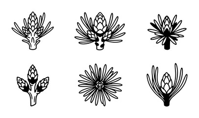 Pine Cone Bud Illustrations, Nature Elements, Botanical Vector Icons, Forest Growth Graphics © Nime