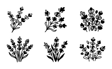 Fototapeta premium Hand-Drawn Lavender Sprigs, Botanical Vector Elements, Floral Illustration Set, Rustic Herbal Graphics