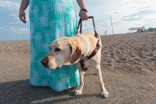 Blind woman walking along the beach with her service dog