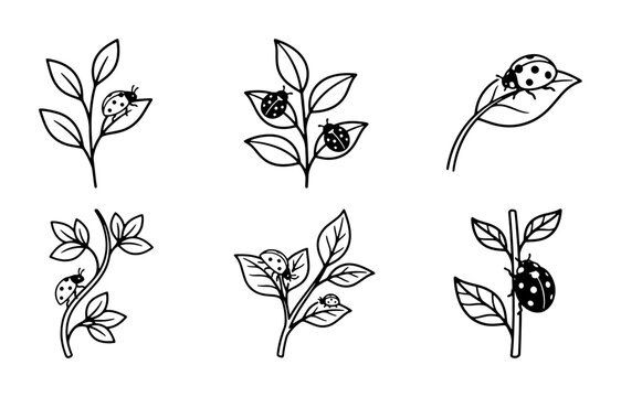 Ladybug and Leaf Vector Icons, Cute Insect and Plant Line Art Collection, Nature and Garden Elements