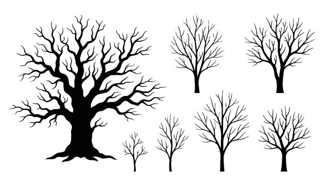 Set of black leafless tree silhouettes on white background