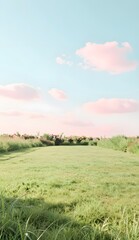 Fototapeta premium Peaceful Green Meadow with Soft Pink Flowers and Clear Blue Sky on Bright Sunny Day