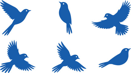 Obraz premium Set of blue bird silhouettes in different poses isolated on white background