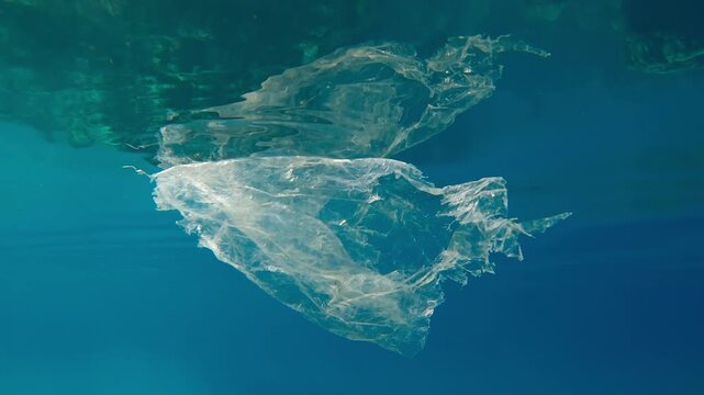 Close-up of a torn translucent disposable plastic bag floating under the surface of turquoise water and mirroring in it during a doldrums, Plastic Pollution of the Ocean