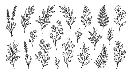 Fototapeta premium Hand drawn botanical leaf and floral branch set outline vector