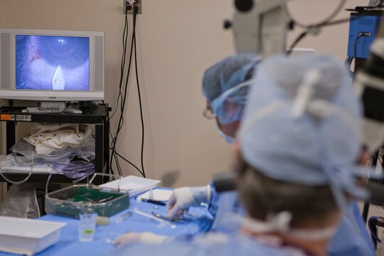 Surgeons and assistants prepare for a surgery in an operating room