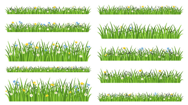 Set of green grass borders with wildflowers in vector style