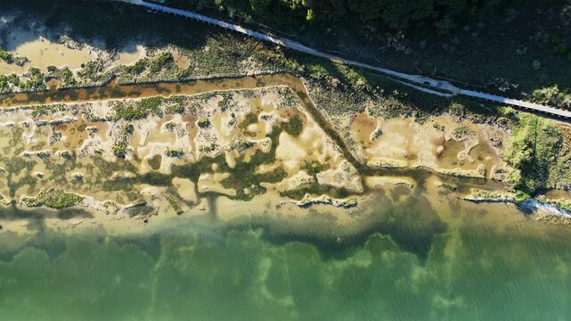 Top down aerial drone tracking shot over shallow textured tidal mudflats and green salt marshes pattern in the Venetian Lagoon during a warm sunset near Eraclea Mare, Italy
