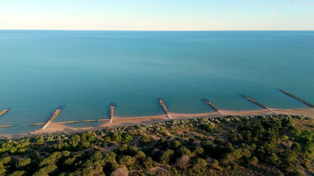 Panoramic drone flight alongside the lush coastal maritime pine forest and empty sandy beach line bordering calm sea waters at dusk, Eraclea Mare reserve on the Venetian Lagoon, Italy