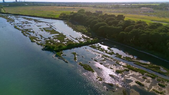 Drone aerial tracking shot showcasing strong sunset backlight reflections gleaming over wild marshy wetlands and shallow inner channels of the Venetian Lagoon near Eraclea Mare, Italy