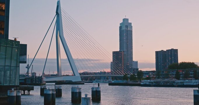Modern cable-stayed bridge pylon and contemporary skyscrapers skyline across the river at twilight. Contemporary urban architecture and harbor waterfront at evening dusk.