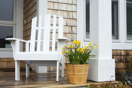 Chair with potted plant on the patio