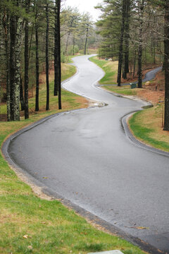 View of a narrow pathway surrounded by trees
