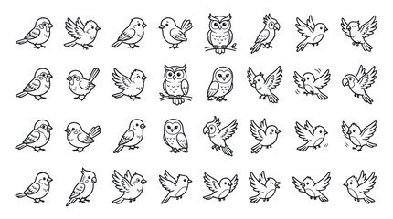 Cute Bird Illustrations: Hand-Drawn Vector Collection of Various Bird Species © Reza