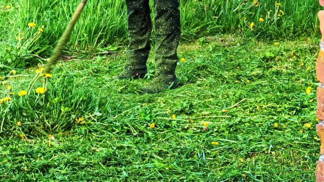 Worker cutting overgrown lawn with a petrol brushcutter in the backyard garden in closeup slow motion