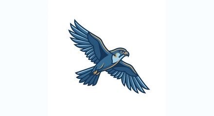 Fototapeta premium A majestic blue falcon in mid flight with wings spread wide.