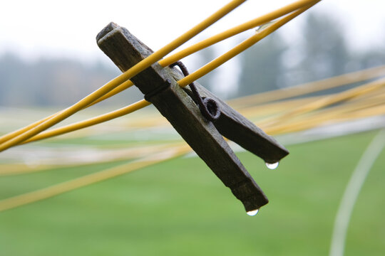 Wet clothes pin on clothes lines