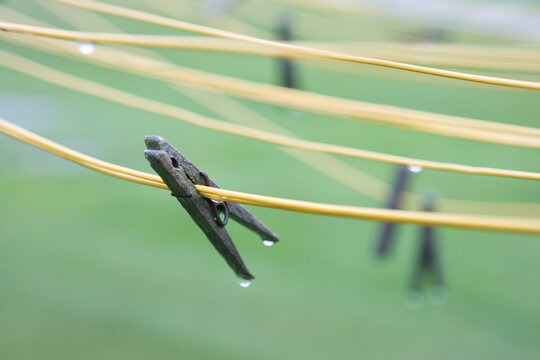 Wet clothes pins on clothes lines