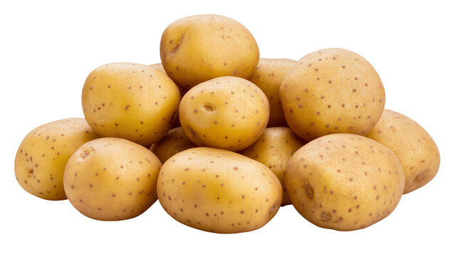 Pile of fresh raw potatoes with brown skin and small eyes