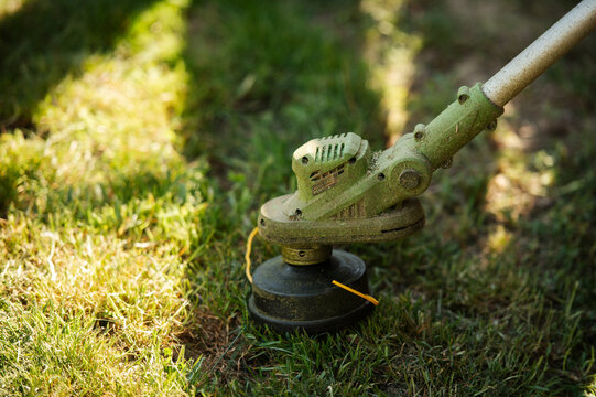 Trimming grass with a string trimmer in backyard garden