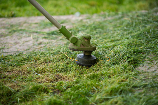 String trimmer cutting tall grass in sunny garden
