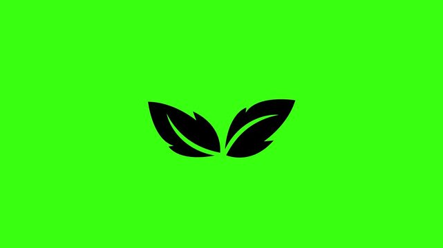 Twin Black Leaves Vector Icon Moving on Green Screen Background