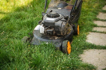 Obraz premium Grass trimmer cutting overgrown lawn in backyard garden