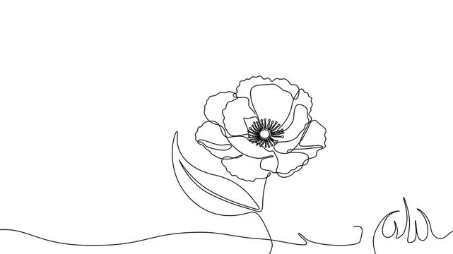 One Line Illustration &ndash; Minimal Floral Flowers	