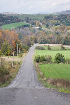 View of a stretch of country road