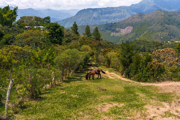 Colombia, Tierradentro, landscape in the National Park.  © Angela Meier