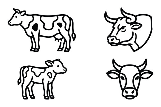 Set of line drawings of cows and bulls heads in different poses and views