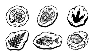 Fossil Collection Vector Icons: Ancient Life, Paleontology, Prehistoric Remains, Scientific Discovery © Faruk